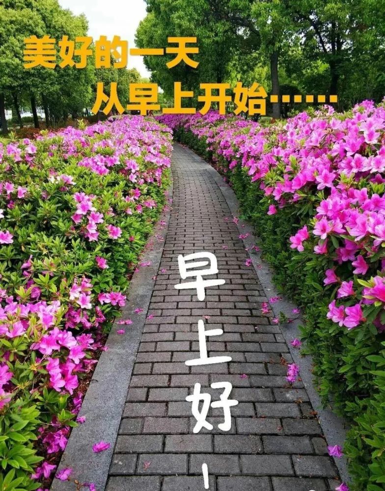 六一儿童节最新有创意好看的早安早上好图片带字带祝