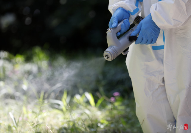 上海卫生消杀人员集中三天行动歼灭蚊蝇