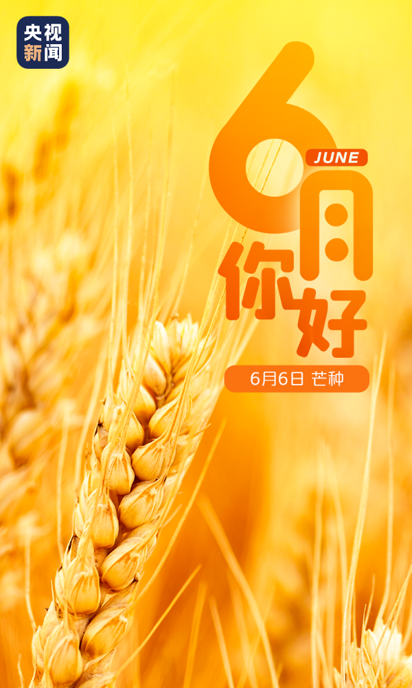 6月,你好!