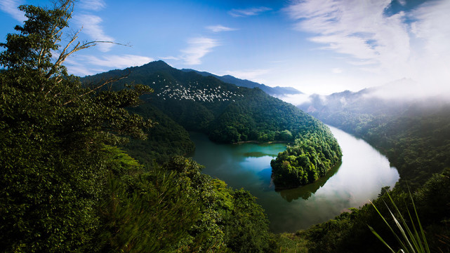 湖湘自然歷丨在水一方瀏陽河,河邊有片什麼溼地