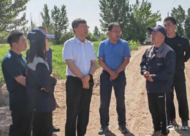 调研组一行到位于民勤县昌宁镇的中国中药有限公司甘草基地详细了解了