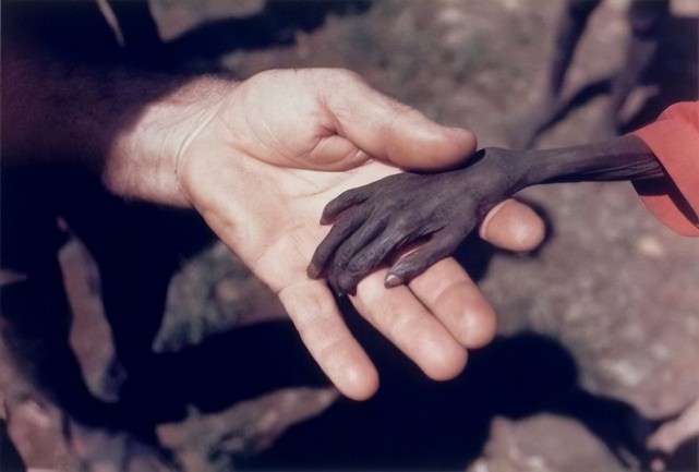 小麦价格上涨50%,全球17亿人将陷入饥饿,四大粮商却赚翻了