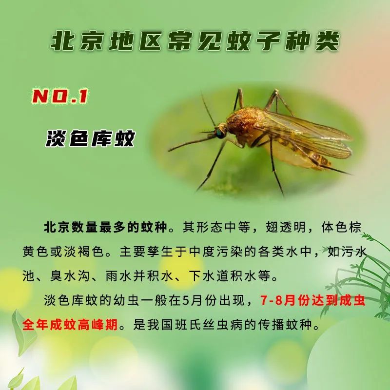 贺克斌院士：“双碳行动”将让蓝天从“奢侈品”变为老百姓的“日用品”20年前的房子是什么结构的