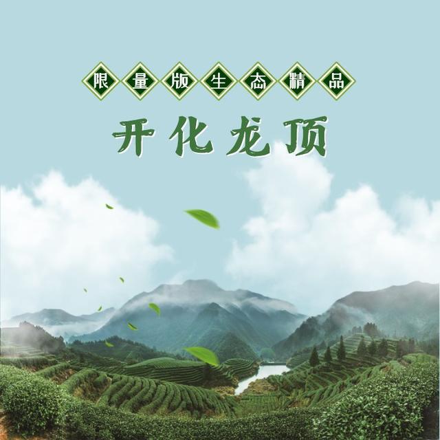 开化龙顶限量版生态精品