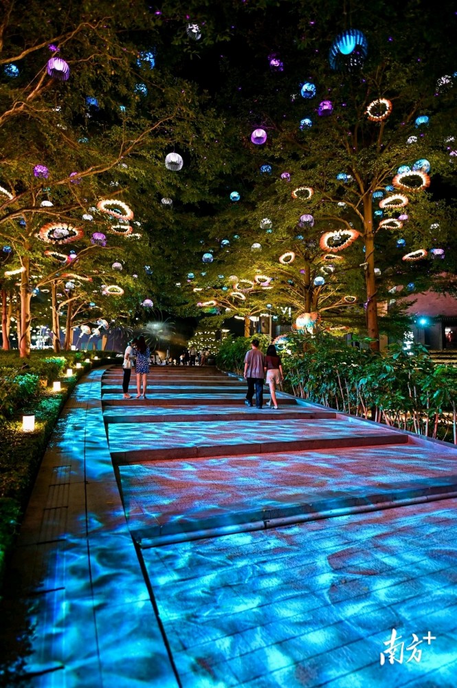 深圳光影艺术季获奖作品公布欢乐海岸获4项荣誉