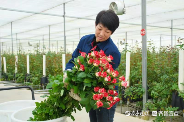 莒县招贤镇发力现代农业全面推进乡村振兴