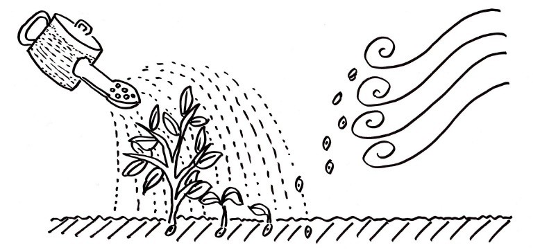 一颗爱的种子落在河南,一个个美好的故事就这样发生了_腾讯新闻