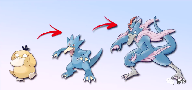 可达鸭的进化型哥达鸭,四肢的各个指头先端都有利爪,指头之间还有蹼