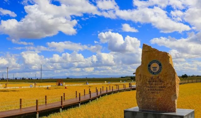 吉尼斯稻香村林胜国际艺术村铧子山水库圆觉寺铧子山地质森林公园体验