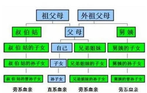 家族史是什么意思 腾讯网