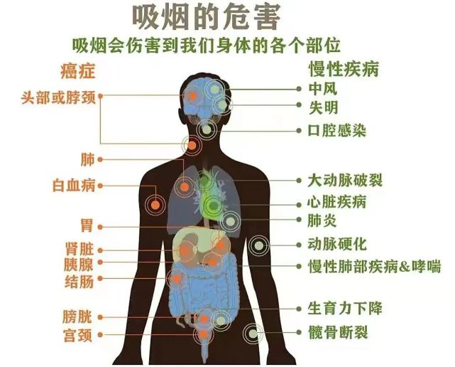 吸烟与肺癌——世界无烟日健康科普