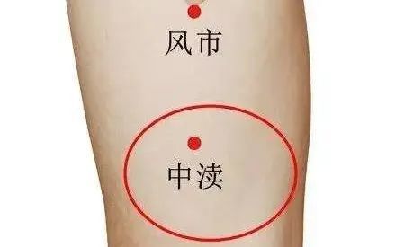 【穴位解剖】中瀆穴在大腿外側,當風市