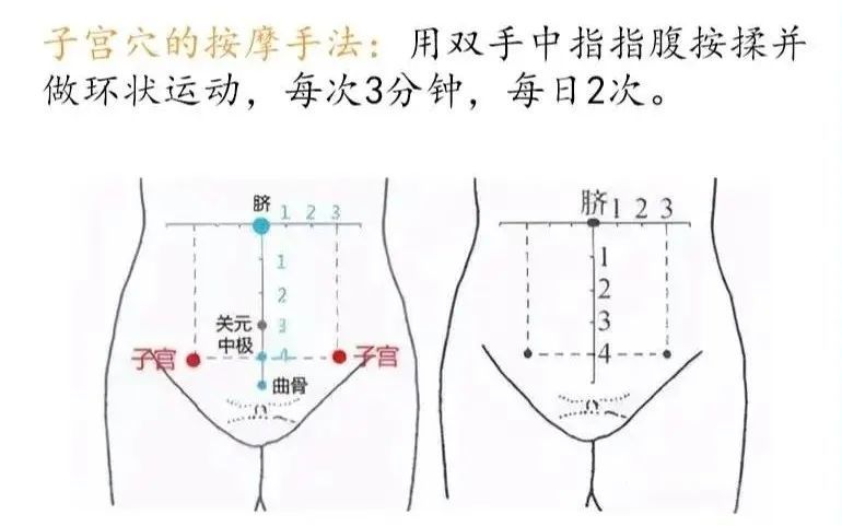 子宮穴女性福利穴調理各種婦科疾病