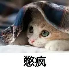 无聊的生活在卧室与客厅之间徘徊不少市民都只能宅在家