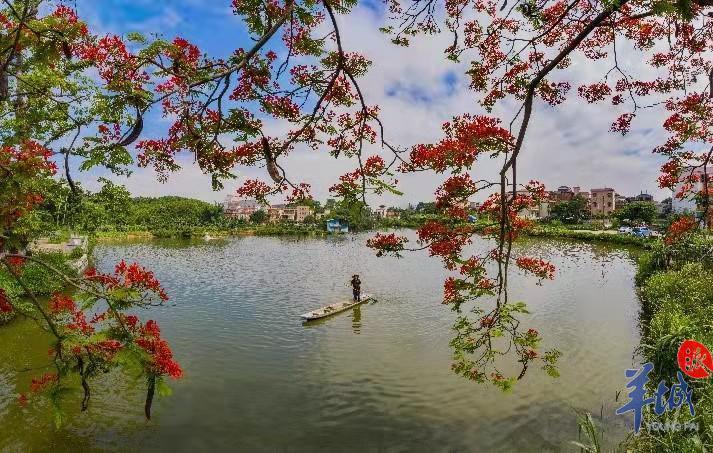 大美岭南佛山顺德龙江与水为伴枕水而眠