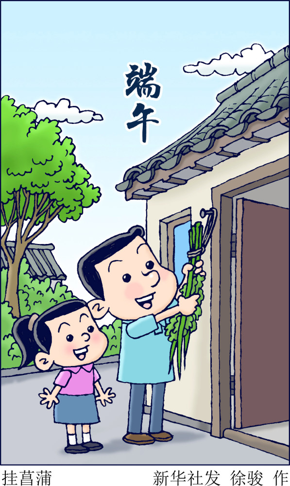 图表漫画端午节挂菖蒲