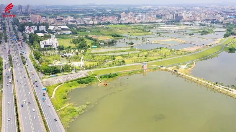 就在金沙大橋下南海丹灶鎮金沙島溼地公園!