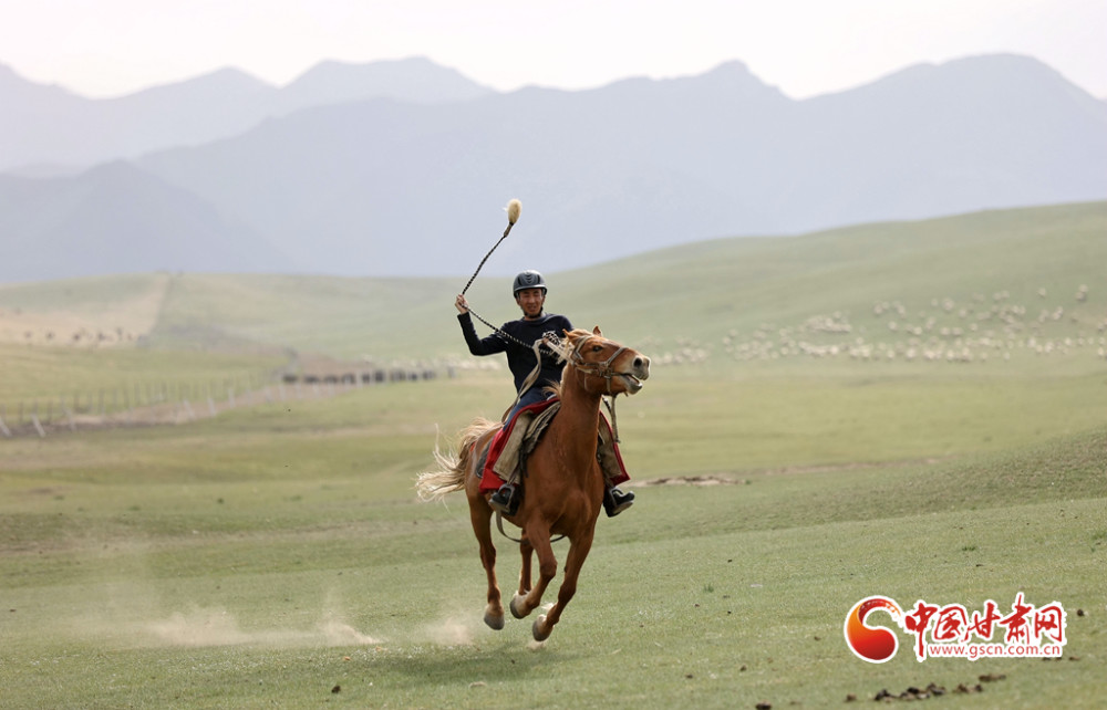 陇拍客甘肃山丹千年马场夏日再现万马奔腾景象