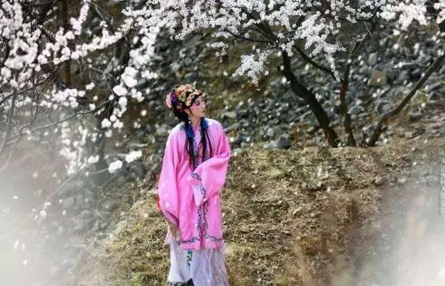 精选诗词 人间岂似落花轻 客子青娥怅此生 腾讯新闻