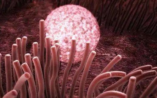 天伦科普 孕早期见红怎么回事 这些原因你该知道 腾讯新闻