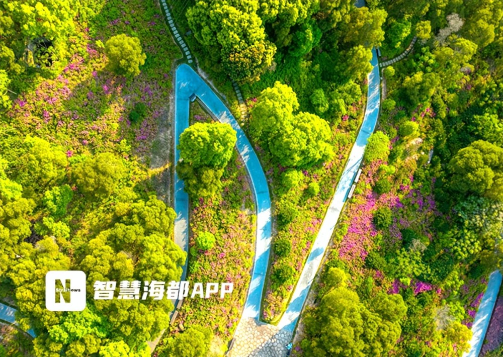 期待！福州三江口植物园啥样？50天后揭晓！_腾讯新闻