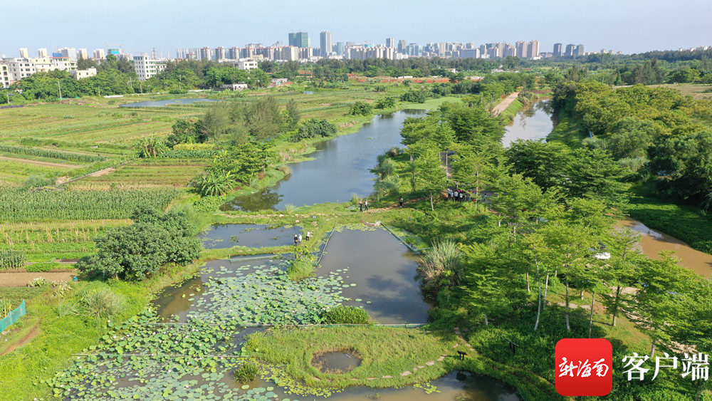 海口五源河生态塘共建小微湿地技术试验与监测示范试点揭牌