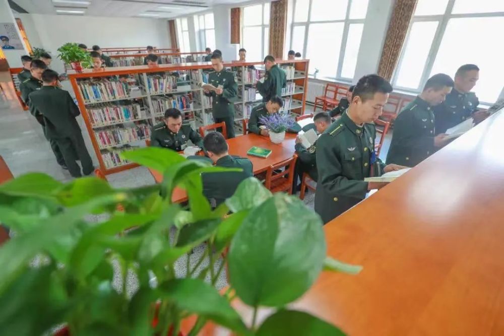 戳这里陆军10所院校等你选