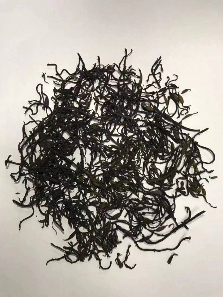 藏在海洋里的中药——海藻_腾讯新闻