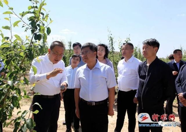 张福田关于榆岭洼村沟域治理情况的汇报参观榆岭洼村水果蔬菜大棚参观