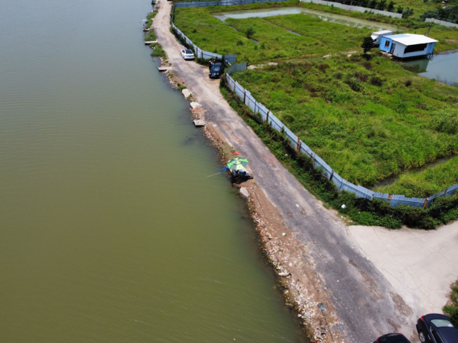 江邊農場番禺石樓海鷗島12畝江邊農場轉讓有5畝魚塘有建築15年年限