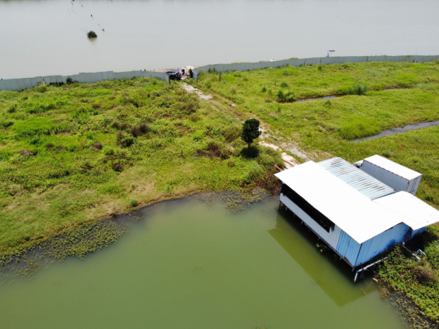 江邊農場番禺石樓海鷗島12畝江邊農場轉讓有5畝魚塘有建築15年年限