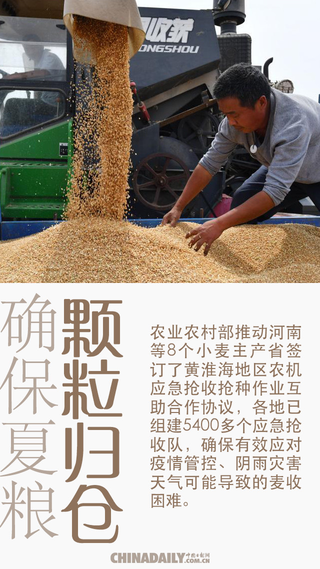 【海报】确保夏粮颗粒归仓 心怀"国之大者"_腾讯新闻