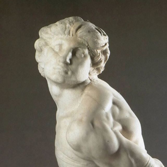 《被缚的奴隶》米开朗基罗(意大利)-雕塑作品欣赏(四百五十五)