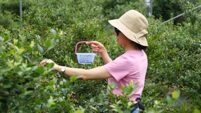 郵輪旅游廈門出發_廈門郵輪旅游_廈門到日本郵輪旅游