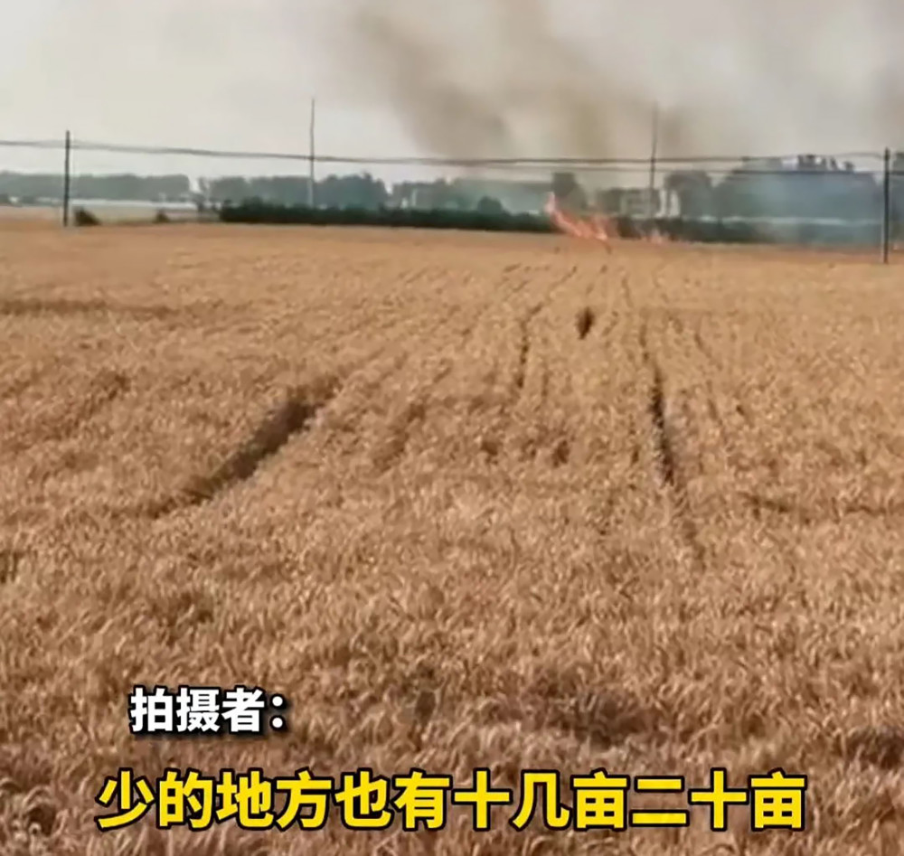 下了男子作案的全过程,目前村民已经报警,当地还没有发布此事件的通报