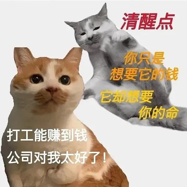 工作表情包|毀滅吧