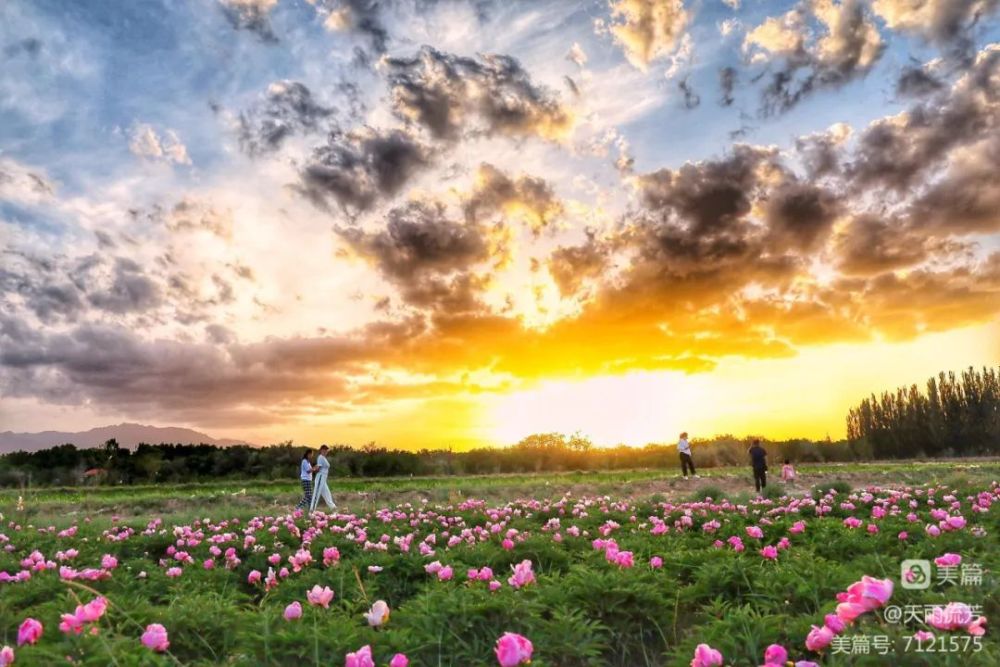 视觉金昌花城美景映晚霞这片天空属于你