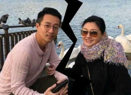 葛斯齐曝汪小菲与张颖颖抓马协议只能说有钱人的世界咱不懂