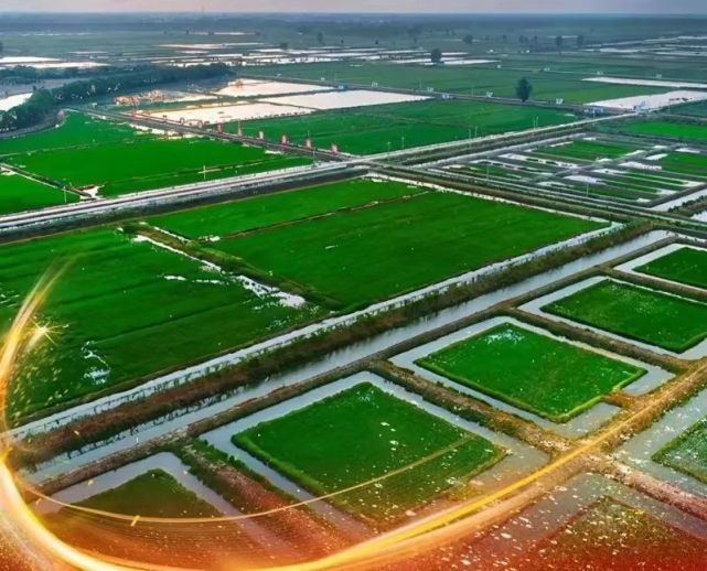 潜江虾稻:扬名已久 火爆依旧