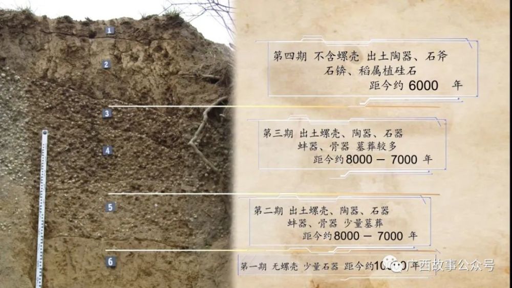 经常撩螺吃鱼可以延年益寿8000年前的南宁先民已经体验过了