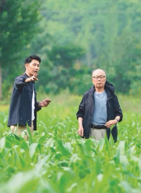 组织召开退役军人助力乡村振兴研讨会,邀请《老兵荣耀》电视剧主