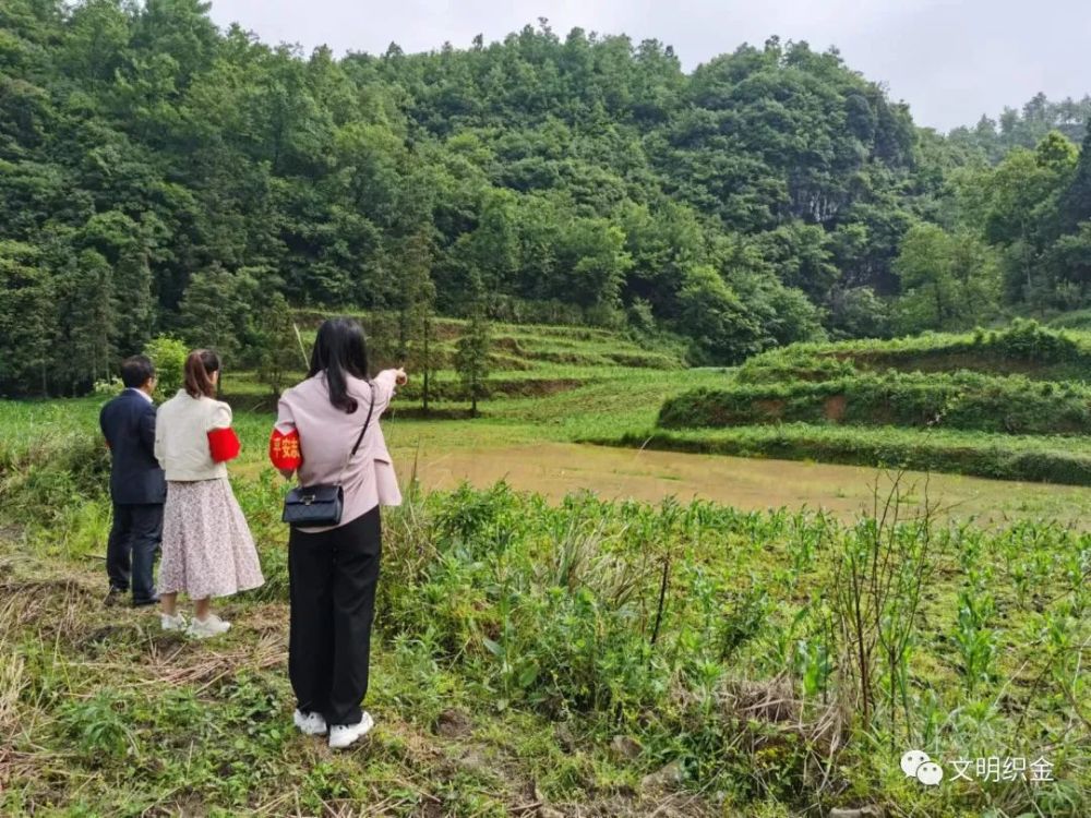 织金双堰街道六强化筑牢防汛减灾安全阀
