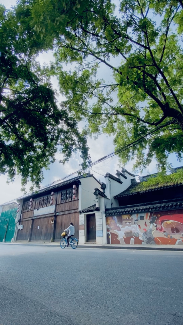 到松江中山西路去走走