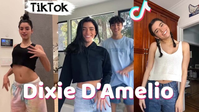 国外抖音（Tiktok）2021年度最赚钱的网红