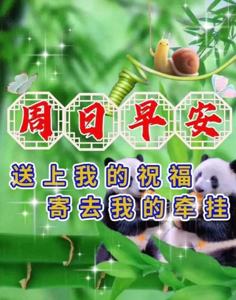周日早上好祝福图片,正能量励志早安问候语_腾讯新闻
