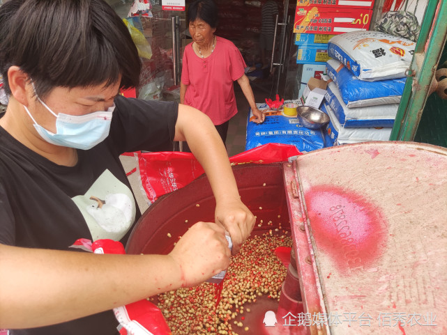 2022年农民偏爱种植大豆优势在哪里为啥说种子包衣决定产量