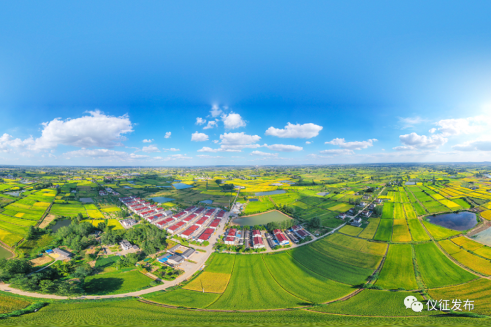 陈集镇双圩村家家门前有绿意户户转角有风景