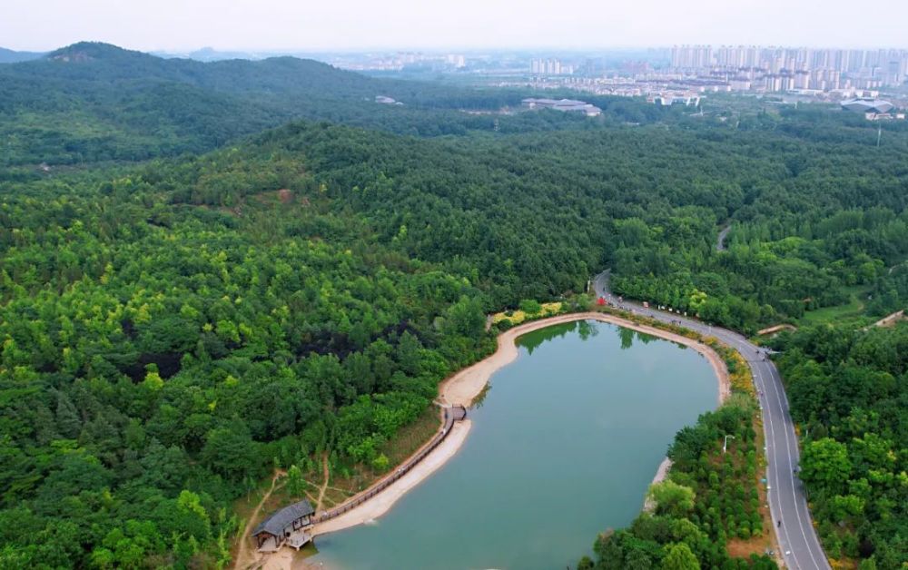 安徽淮南舜耕山林百鸟鸣