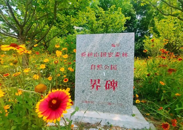 看见美丽淮南舜耕山林百鸟鸣