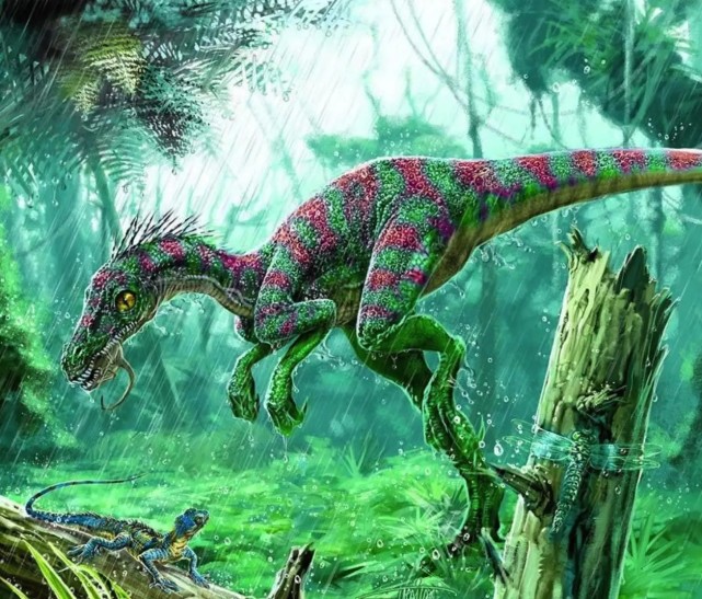 已经消失的远古生物最为古老的恐龙之一埃雷拉龙